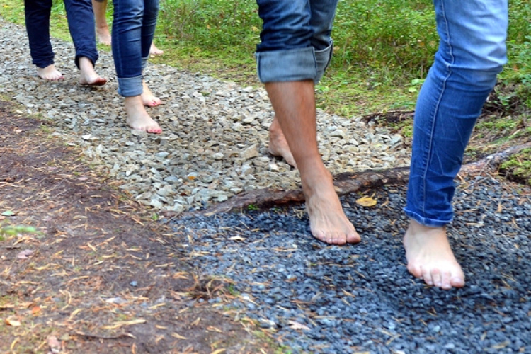 NRC Vaivari Atklāta sajūtu taka!